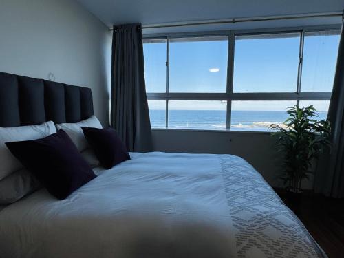 Accommodation Front - Edgy Beachfront 2 Sleeper with Stunning View