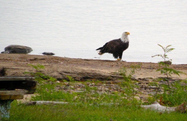 ACROSS FROM SAND ISLAND ON SACANDAGA LAKE