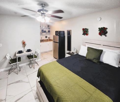 Adorable Mini Suite in Tampa
