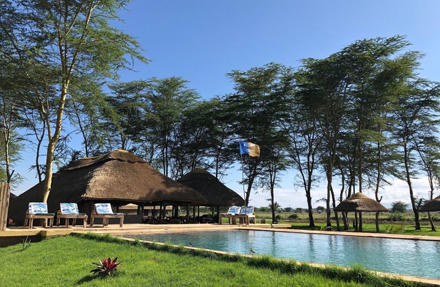 Africa Safari Lake Manyara