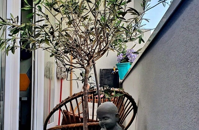 Agréable 35 m² au Calme à Paris - Grand Balcon Avec vue sur Jardin Arboré -