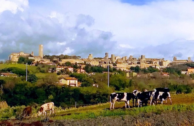 Agriturismo Il Poderino