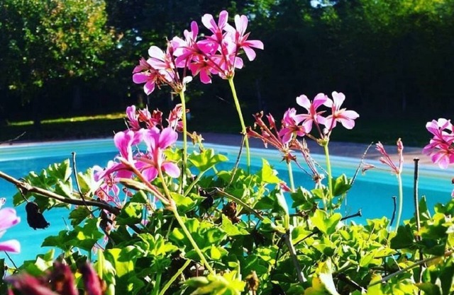 Agriturismo Il Sole Verde