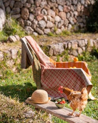 Agroturismo Son Viscos