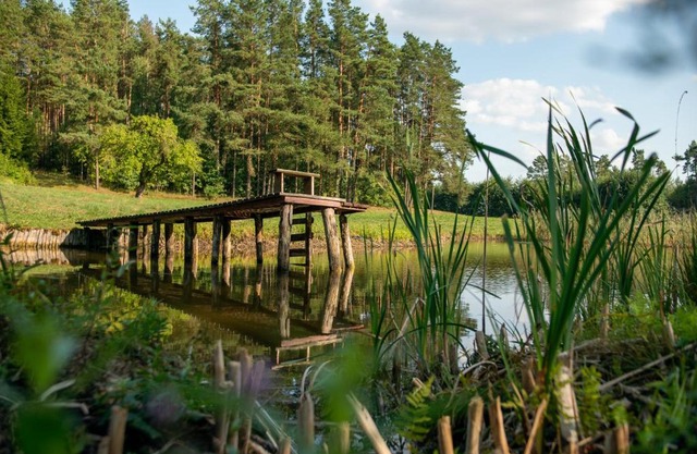 Agroturystyka Leśna Dolina