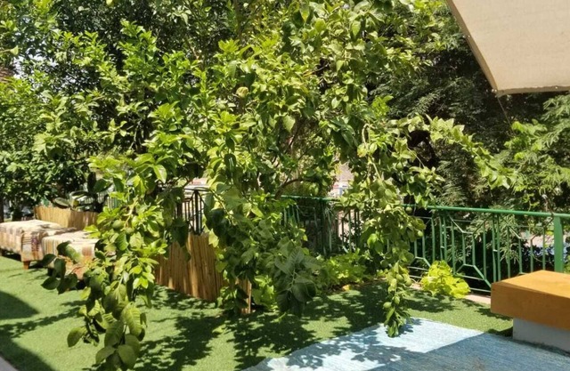 Ahla Dive Time Villa