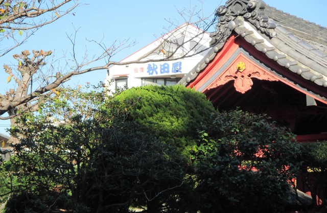 Akitaya