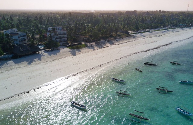 Albatross Ocean View