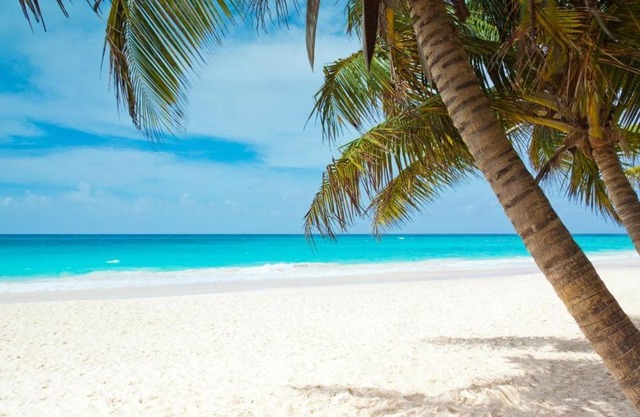 All season paradise in Cortez