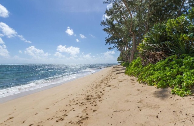 Aloha Studio – AC, Near Beach, Near PCC
