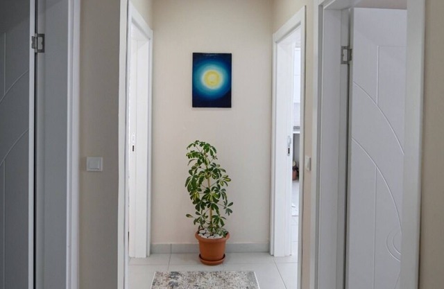 ALP APART 13
