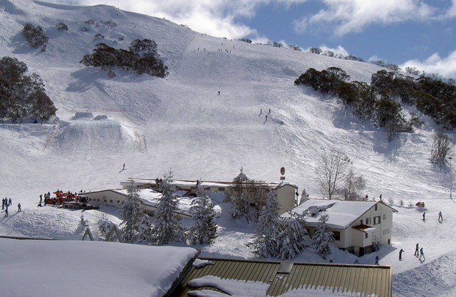 Alpine View Apartments - 4 share, Superior Deluxe
