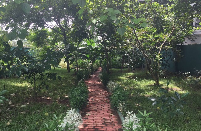 Amadi Villa