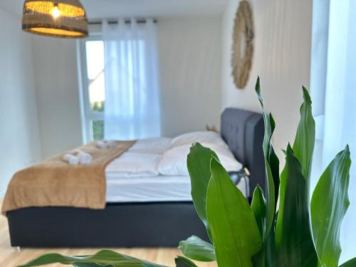 AMAO Grey - 86 m2 Apartment - Balcony - King-Size Beds - Free Parking - Near Europa-Park