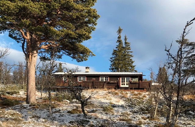 Amazing home in Tunhovd with sauna