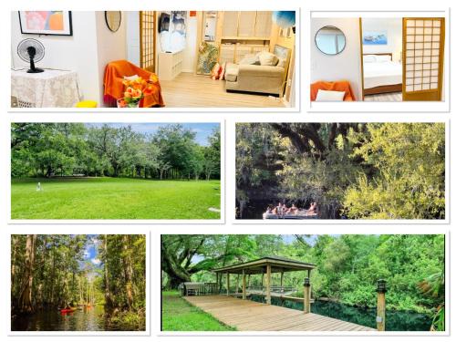 Amazing Waterfront Apt near Disney and Lake Tohoa