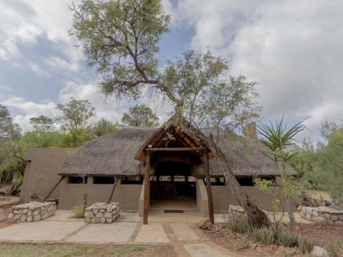 Amy's Camp at the Kevin Richardson Foundation