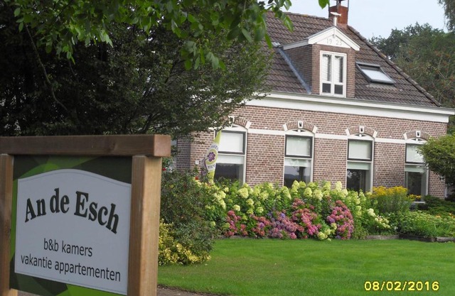 An de Esch