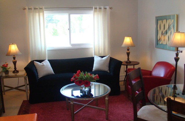 Anchorage Downtown Deluxe Furnished One Bedroom Apartment