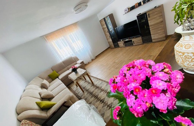 Andrei's house