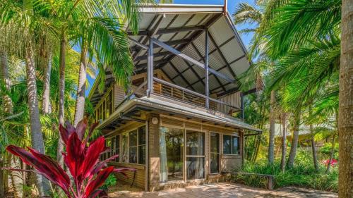 Angourie Palms