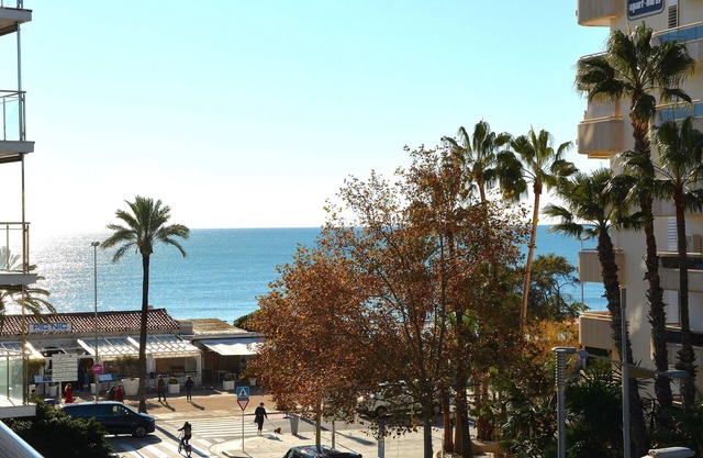 Apart. Sofia: 50 meters from the beach, 100% renovated, Pool XL, A/C and garage.