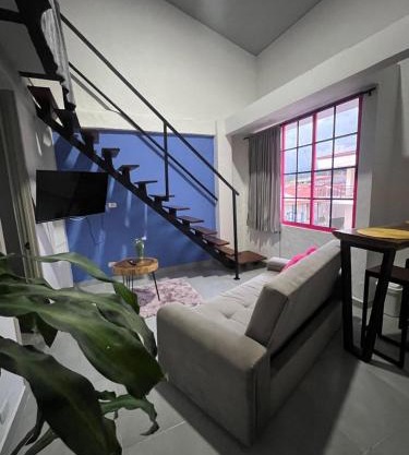 apartaestudio salento 6