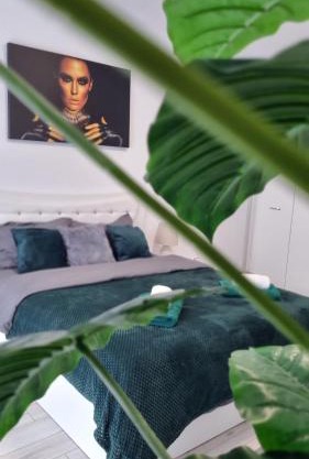 Apartament Ariana Rasnov