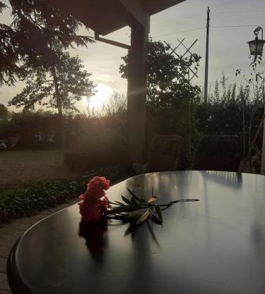 Apartament Cedro del Libano
