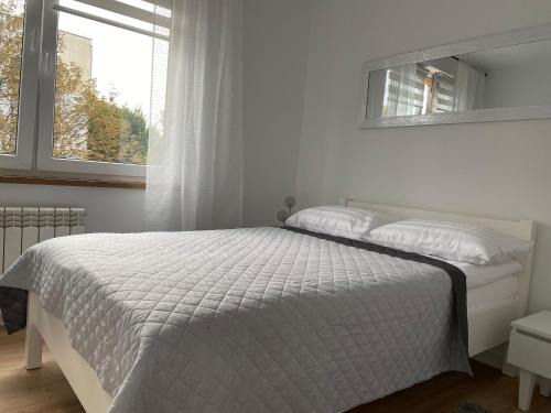 Apartament Cynamon II