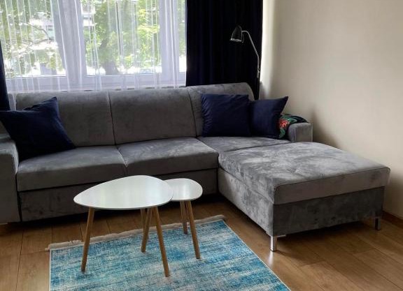 Apartament Mickiewicza 11