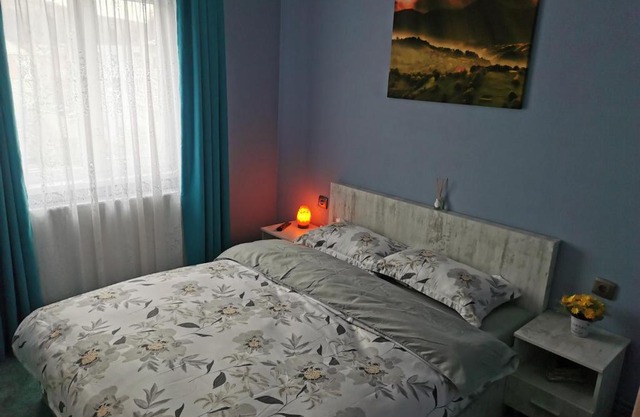 Apartament Ramona