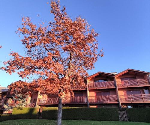 Apartamento con piscina en Santa Leocadia