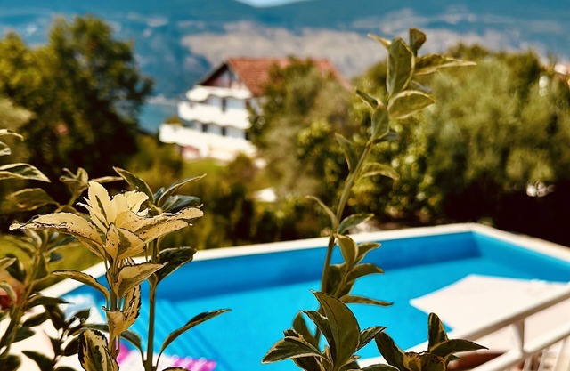 Aparthotel - VILLA JOVICIC