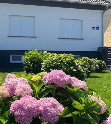 Apartman Kuća 150