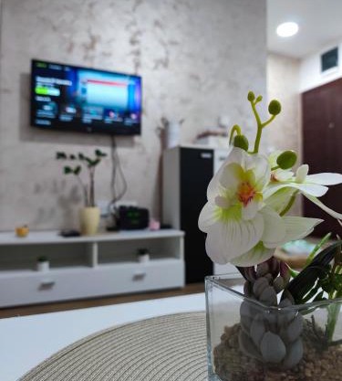 Apartman Tara 2