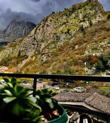 Apartman Venera Kotor