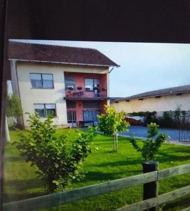 Apartmani Primus