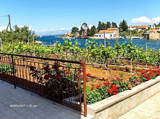 Apartment ∙ 1 bedroom ∙ 3 guests