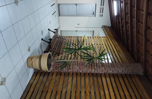 Apartment 3 bedrooms Santo André