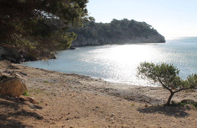Apartment 50m. Beach (2 Guest Room.)