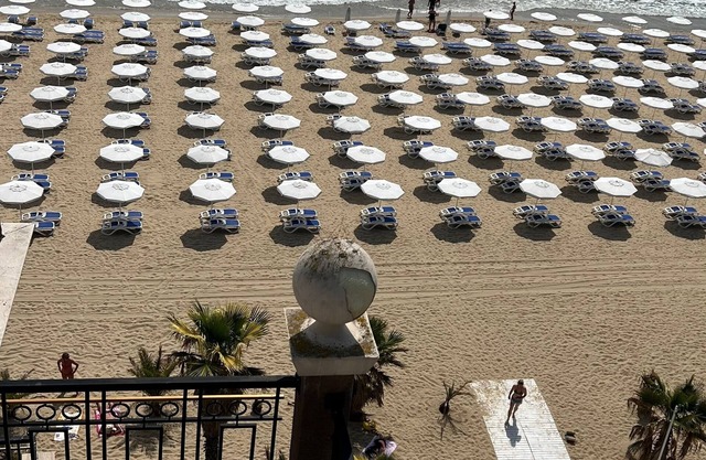 Apartment for 4 guests with 56m² in Sunny Beach (242432)