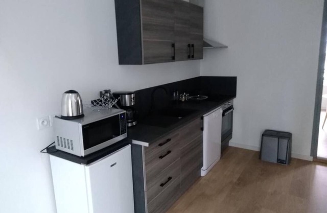 apartment hyper center of Amboise