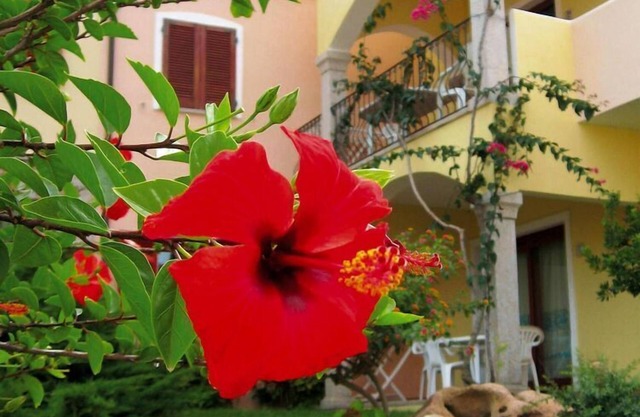 Apartment in Badus with communal Pool