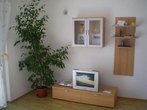 Apartment in Duce with sea view, balcony, air conditioning, WiFi 5060-3