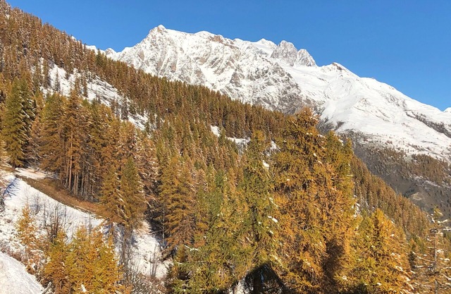 APARTMENT IN RESIDENCE NEAR PISTE