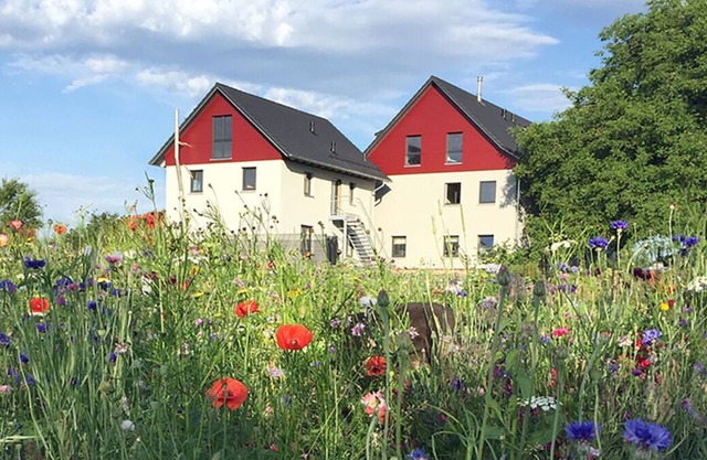 Apartment in Grünkraut near Ravensburg, Lake Constance, Upper Swabia