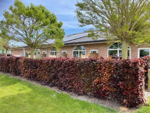 Apartment in Groede near the Beach