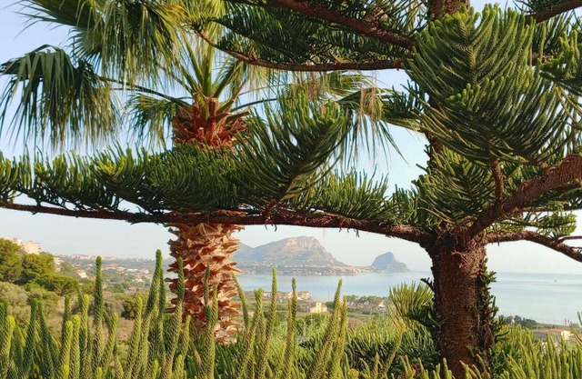 Apartment in villa, in hillside location with sea view.