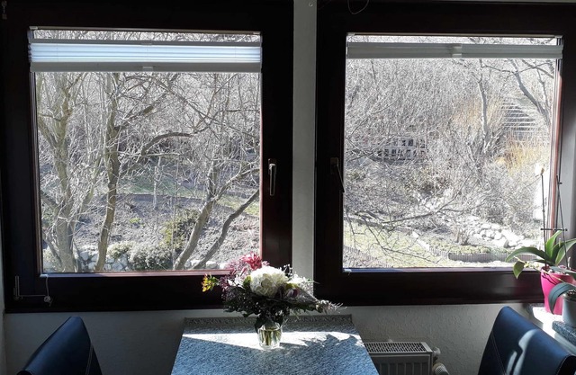 Apartment in the immediate vicinity of the beautiful Tollensesees! - Apartment Neubrandenburg